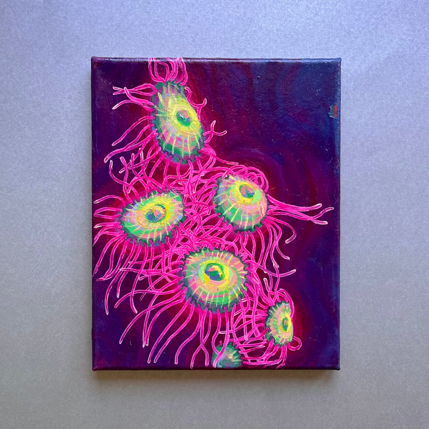 green coral with pink tentacles
