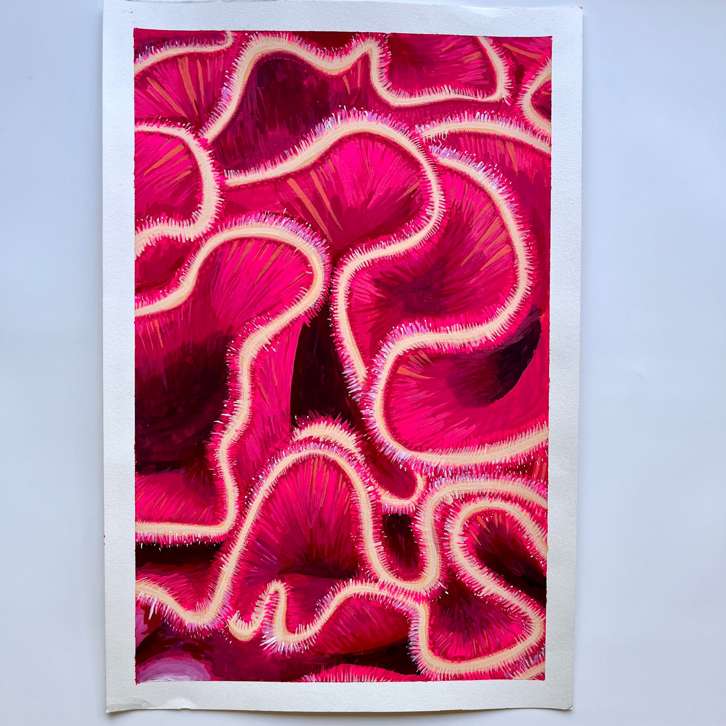 fuzzy mushroom-like coral painting