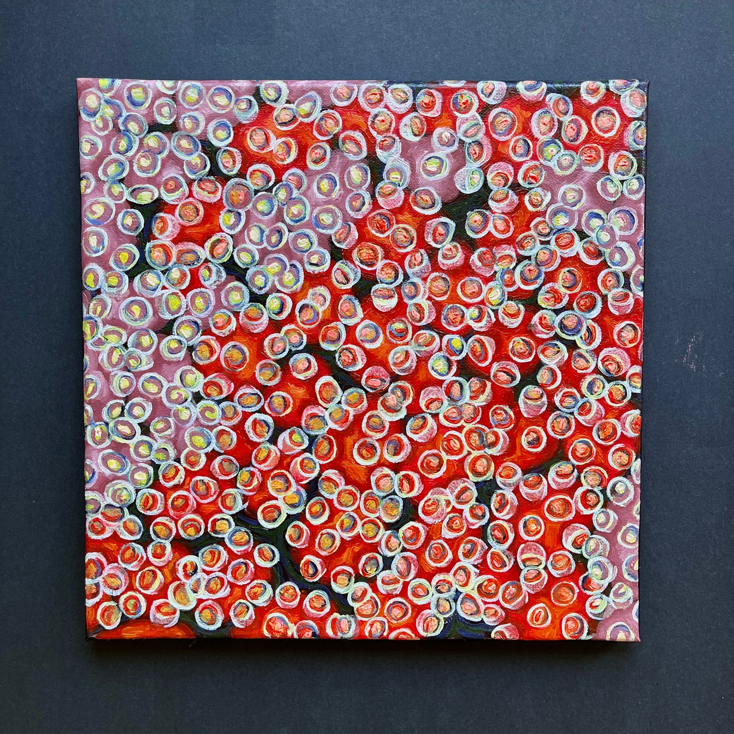 red and white coral with lumps all over