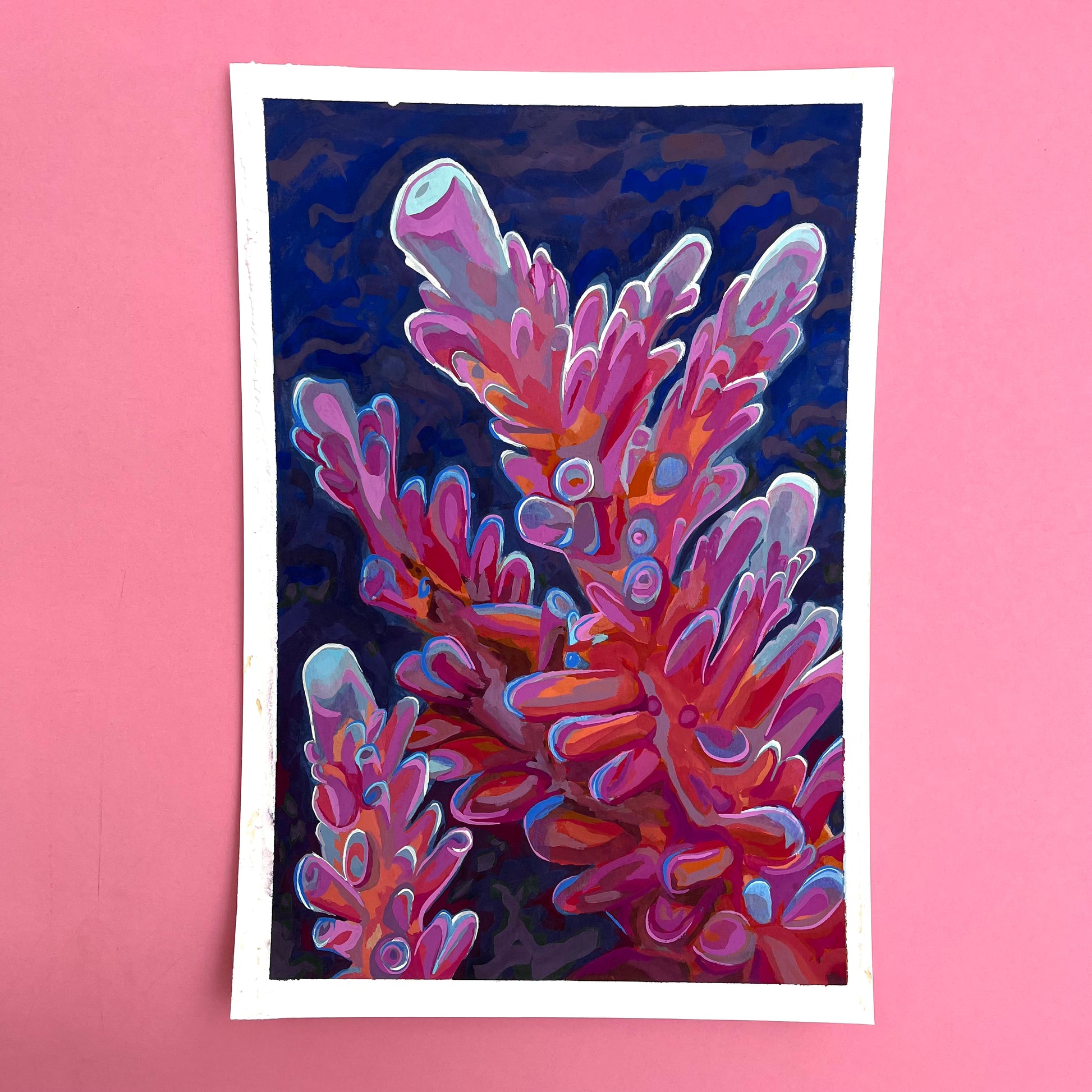 bright pink and orange acropora coral painting