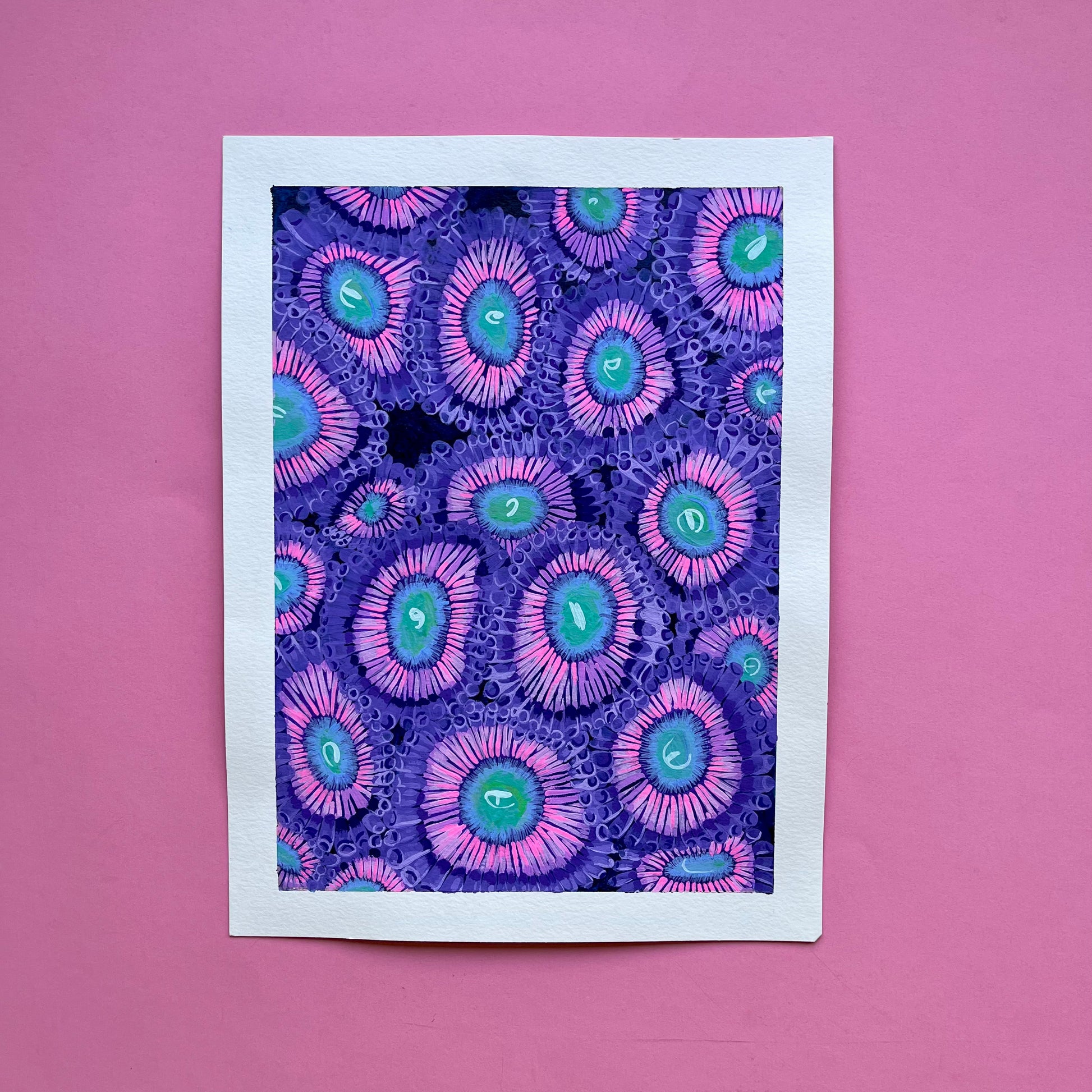 purple polyps